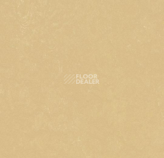 Линолеум Forbo Marmoleum Decibel on Order 372635 venus фото 1 | FLOORDEALER